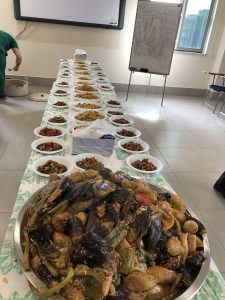 Tishk International University | Faculty of Dentistry