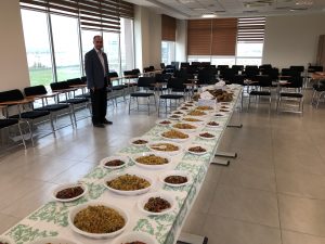 Tishk International University | Faculty of Dentistry