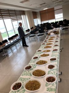 Tishk International University | Faculty of Dentistry