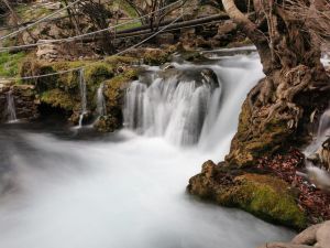 Tishk International University | Faculty of Dentistry
