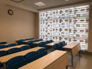 Tishk International University | Faculty of Dentistry